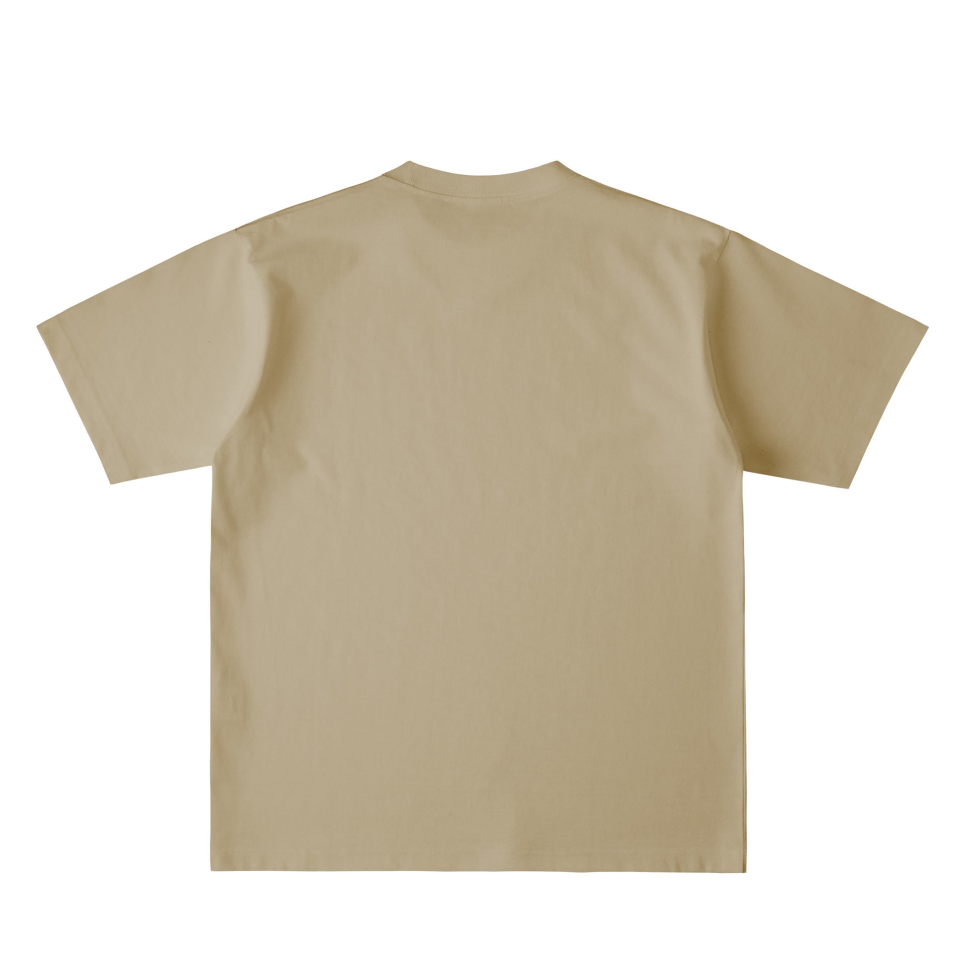 カラーブロッキングTシャツ dull-sand image